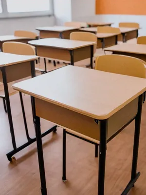 Qual a importância da interatividade nos planos de aula?