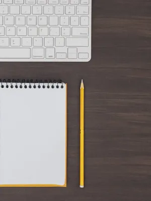 Como inovar seus planos de aula? Descubra dicas surpreendentes!